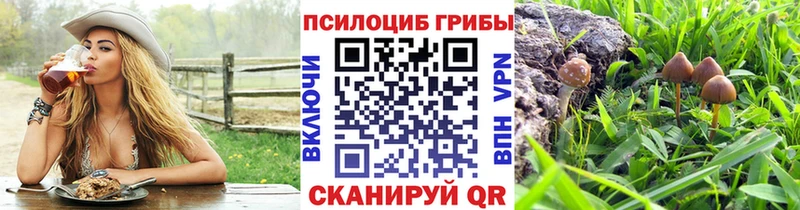 Псилоцибиновые грибы Psilocybe  Калининск 